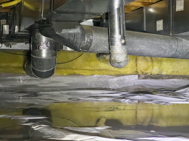 Best Water damage restoration specialists  in Dresser, WI
