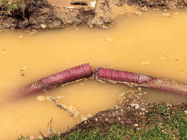 Best Basement water damage restoration  in Dresser, WI