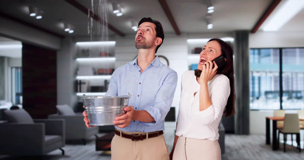 Best Water damage cleanup near me  in Dresser, WI