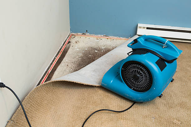 Best Water damage contractors near me  in Dresser, WI
